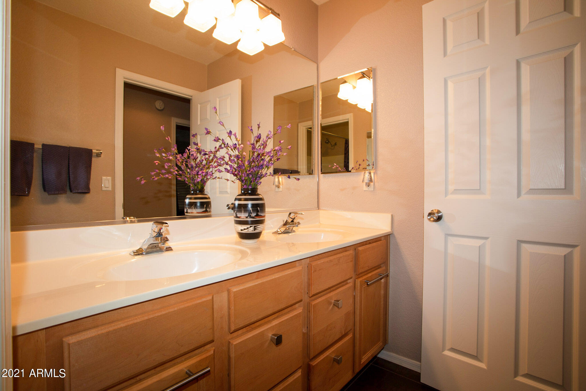 3764 South Shiloh Way Gilbert, AZ 85297 - Photo 28 of 42 28 Bathroom 2