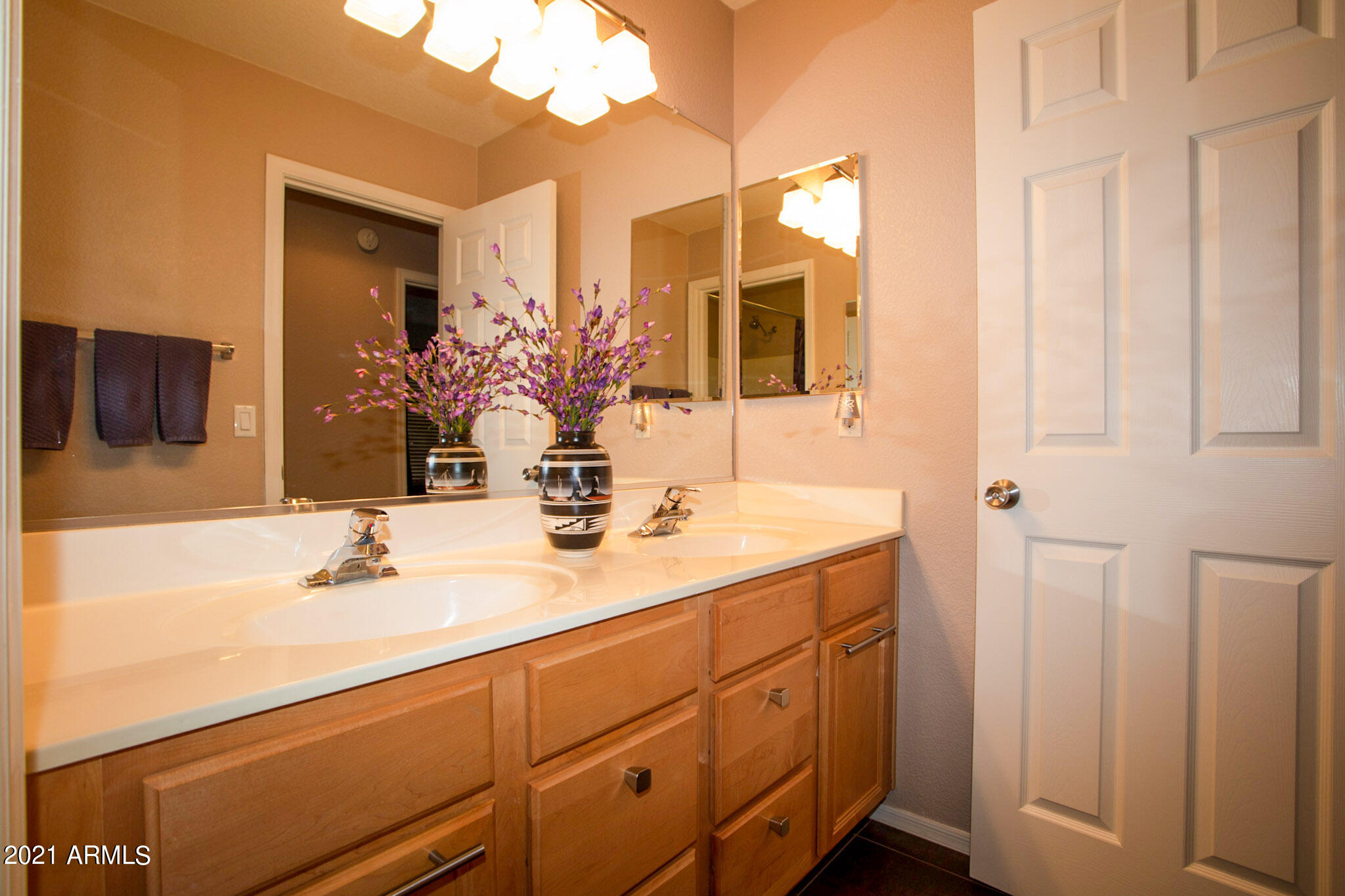 3764 South Shiloh Way Gilbert, AZ 85297 - Photo 29 of 42 29 Bathroom 2