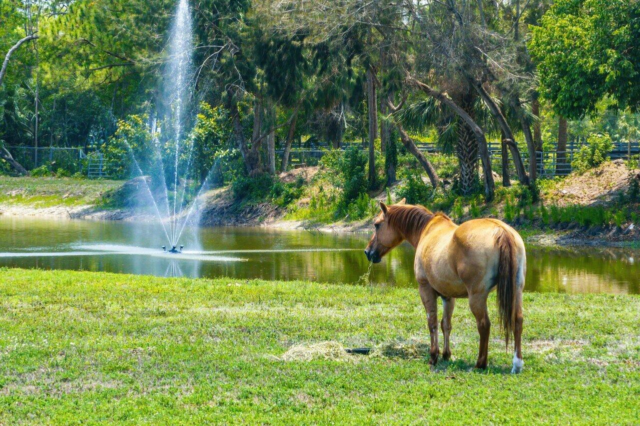 17270 Rocky Pines Road Jupiter, FL 33478 - Photo 38 of 69 076-17270RockyPinesRoad-Jupiter-FL-33478