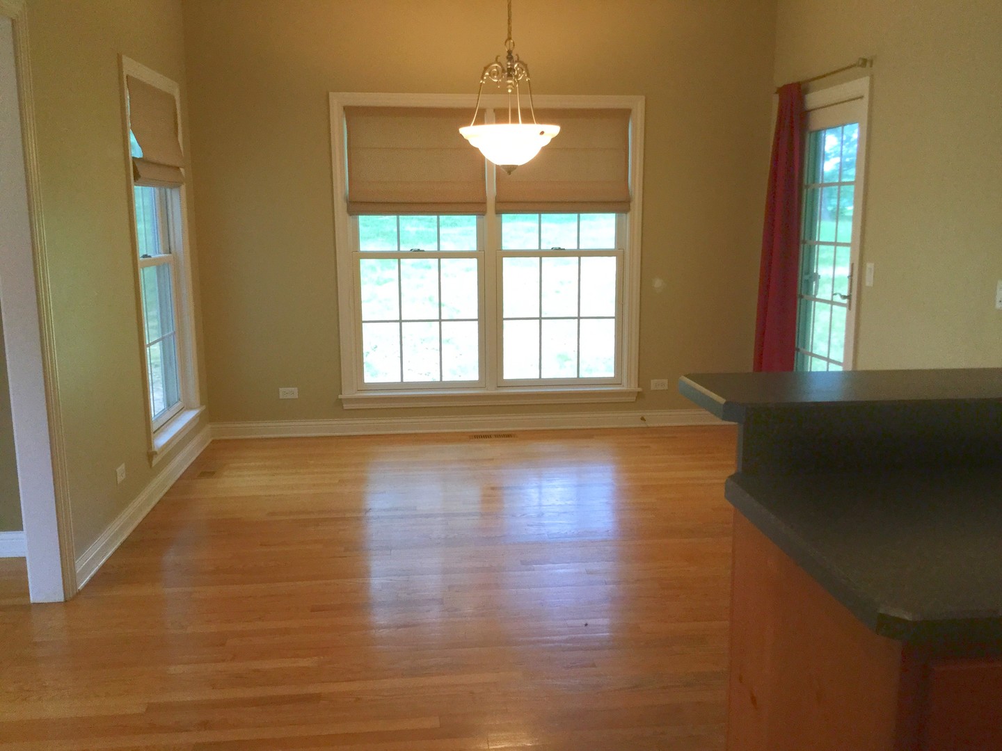 154 West Tam O Shanter Drive Crete, IL 60417 - Photo 13 of 33