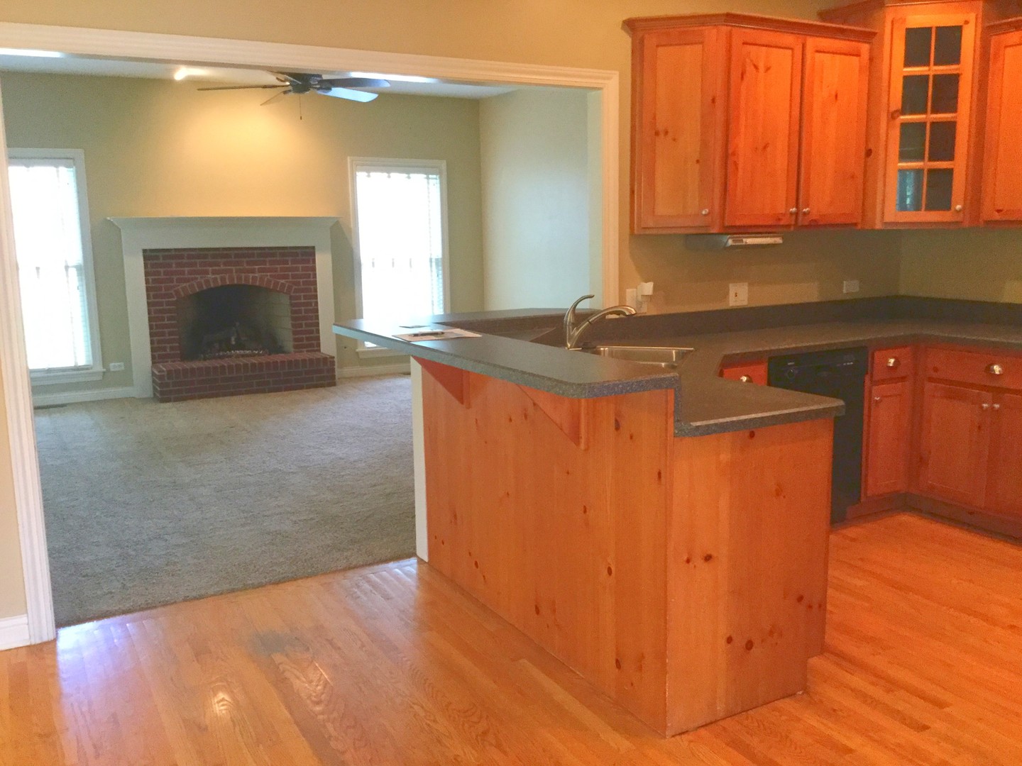 154 West Tam O Shanter Drive Crete, IL 60417 - Photo 14 of 33