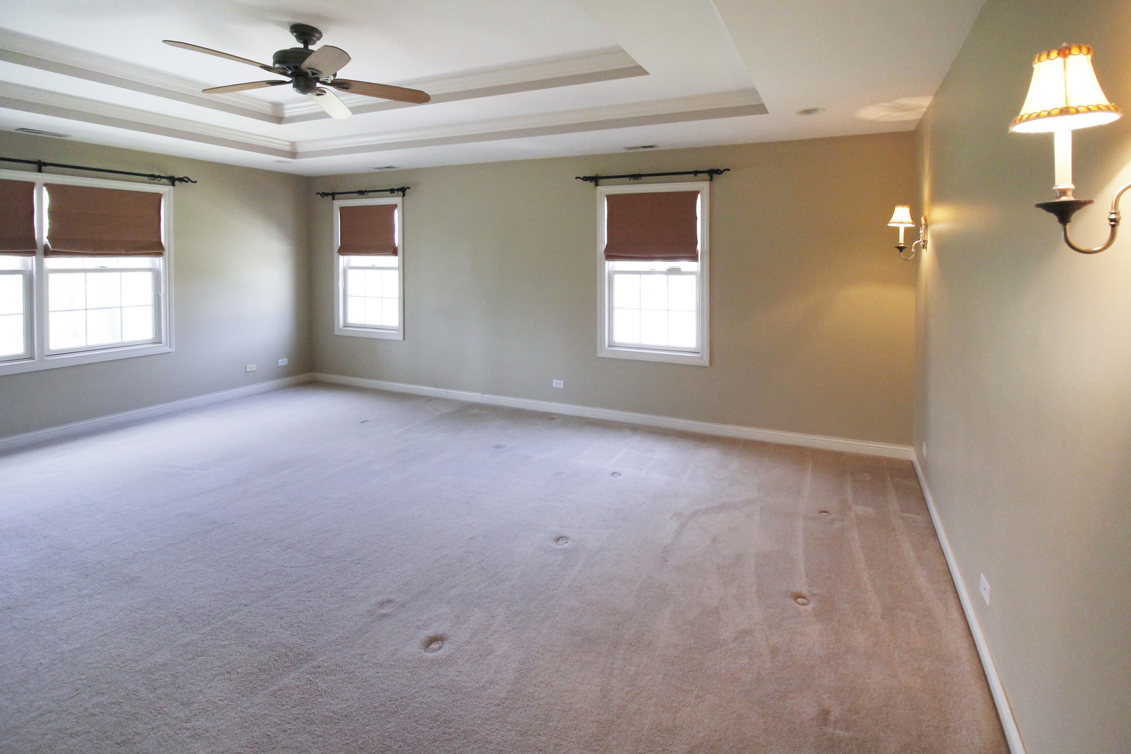 154 West Tam O Shanter Drive Crete, IL 60417 - Photo 21 of 33