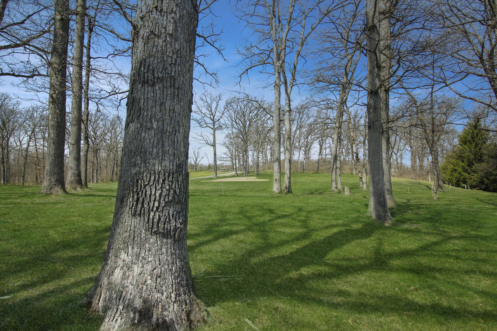 154 West Tam O Shanter Drive Crete, IL 60417 - Photo 33 of 33