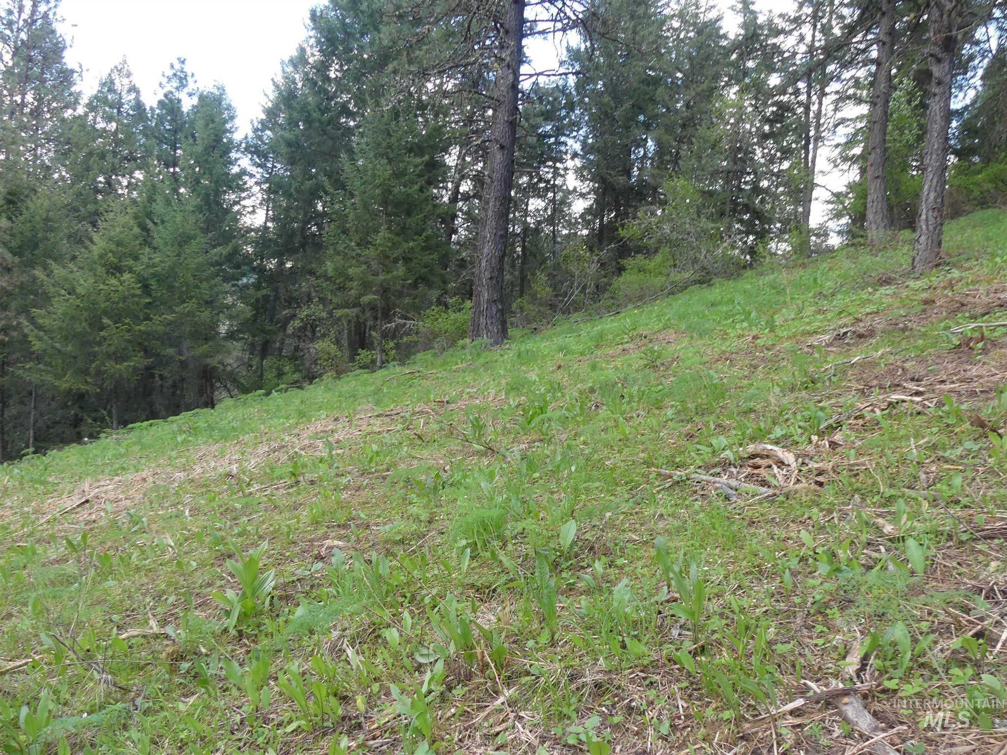 22743 Old Melrose Grade Road Peck, ID 83545 - Photo 28 of 45