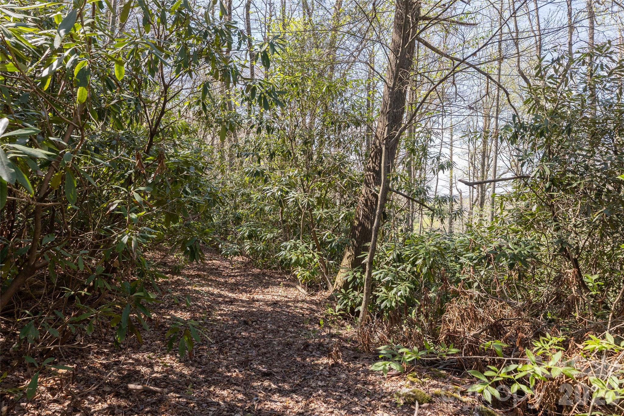 4419 Flat Mountain Road Highlands, NC 28741 - Photo 4 of 17