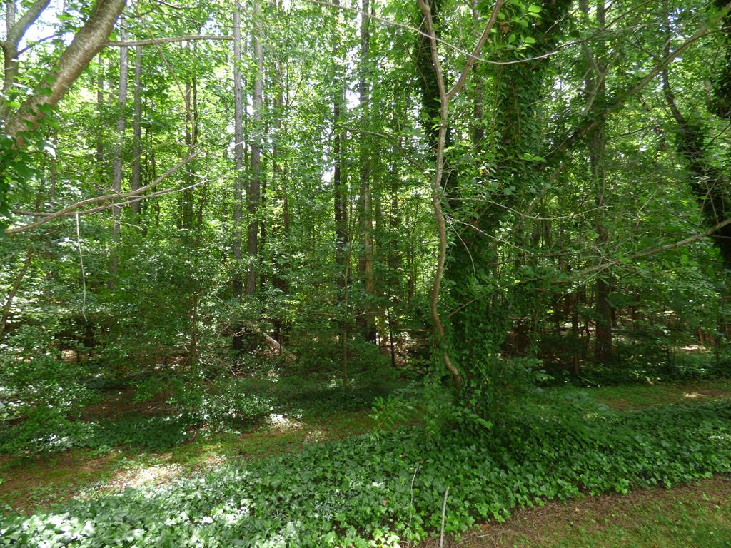 234 Scotts Bottom Road Dillwyn, VA 23936 - Photo 27 of 28 Gallery Image 27