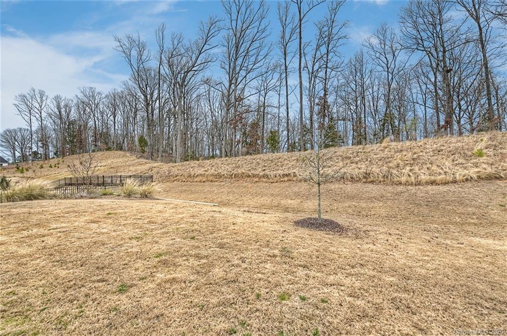 552 Crawfish Drive Fort Mill, SC 29708 - Photo 25 of 37 Gallery Image 25