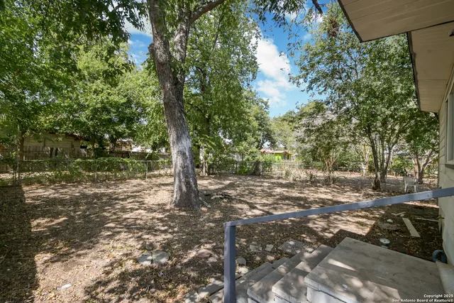 a view of a tree in the middle of a yard