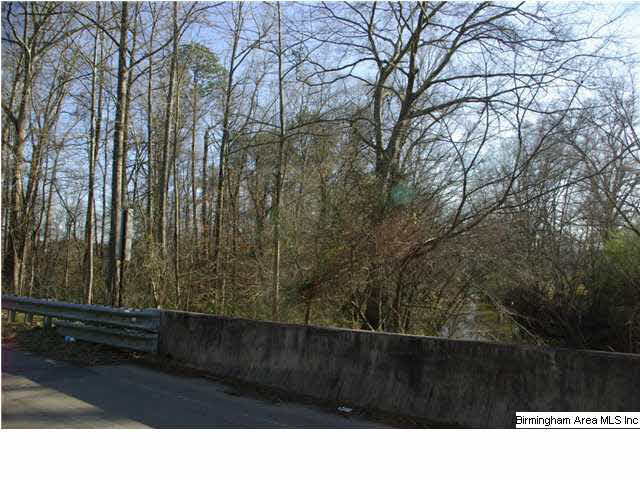 Refuge Road, Unit 10 Ragland, AL 35131 - Photo 3 of 6