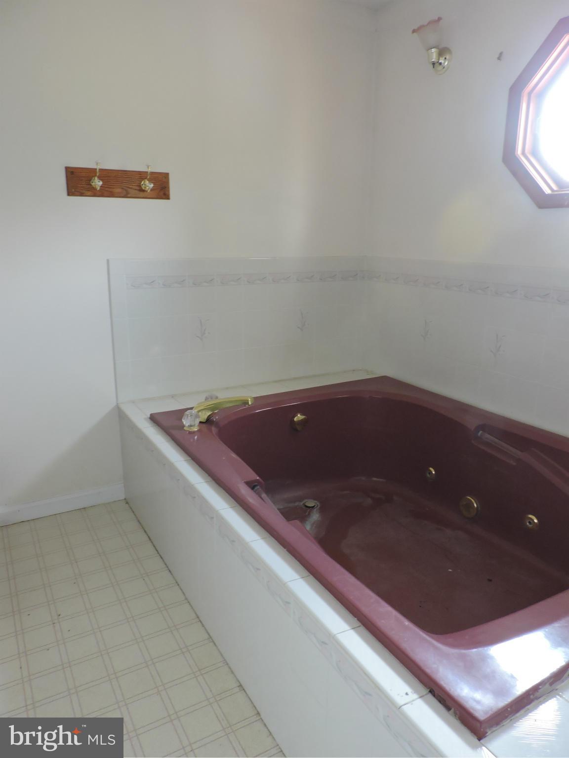 299 Rowlandsville Road Conowingo, MD 21918 - Photo 12 of 12 Bath (Master)