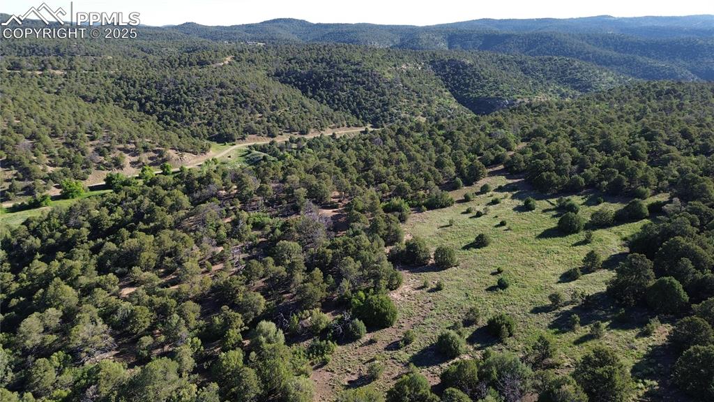 Bird's eye view featuring a wooded view and a mountain view