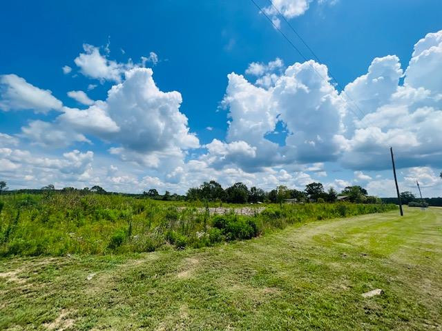 113 Rushing Rayborn Road Tylertown, MS 39667 - Photo 1 of 7 Main View