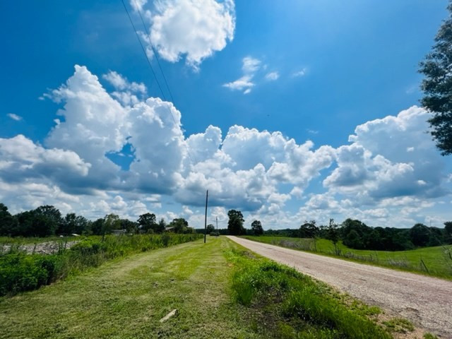 113 Rushing Rayborn Road Tylertown, MS 39667 - Photo 2 of 7 Photo 2