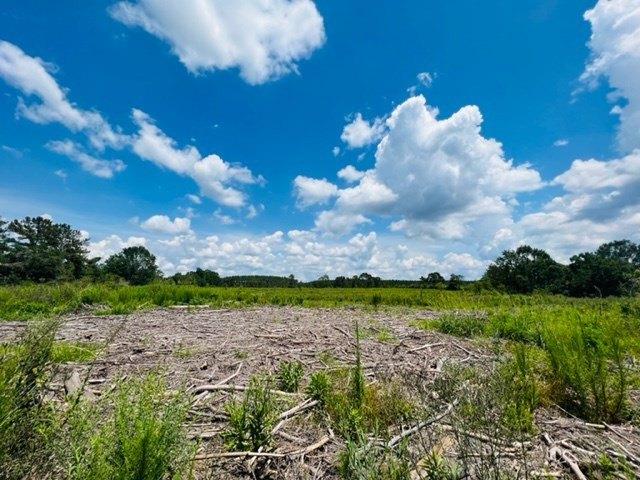 113 Rushing Rayborn Road Tylertown, MS 39667 - Photo 5 of 7 Photo 5