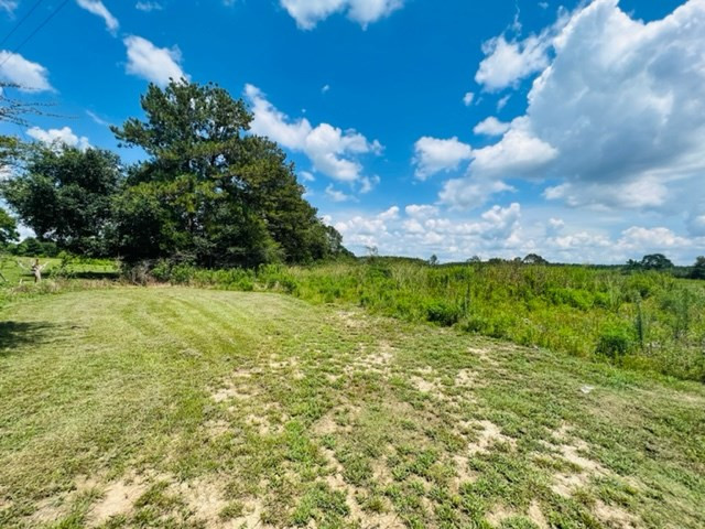 113 Rushing Rayborn Road Tylertown, MS 39667 - Photo 6 of 7 Photo 6