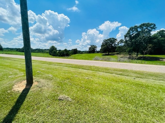 113 Rushing Rayborn Road Tylertown, MS 39667 - Photo 7 of 7 Photo 7