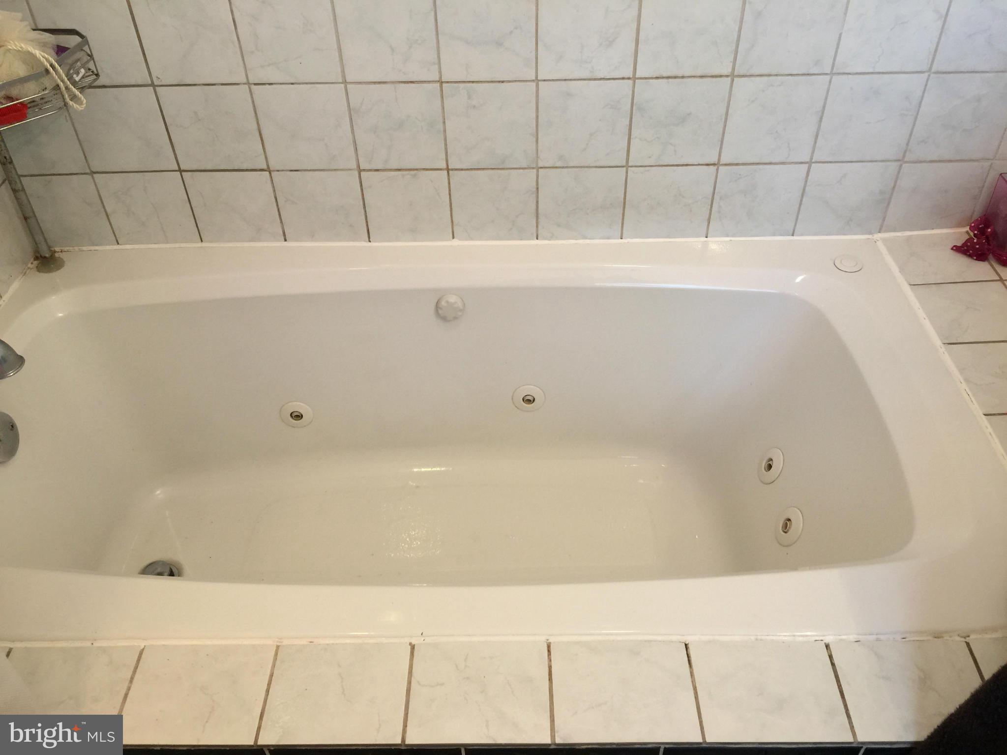 8523 Stevenswood Road Baltimore, MD 21244 - Photo 14 of 30 Bath (Master)