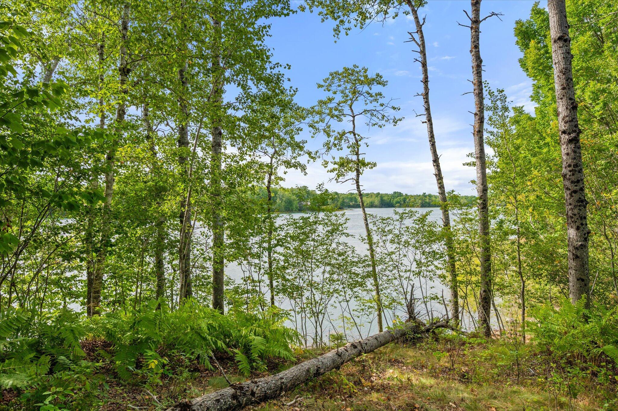 1187 Shore Road Lamoine, ME 04605 - Photo 49 of 52 49-1187 Shore Rd