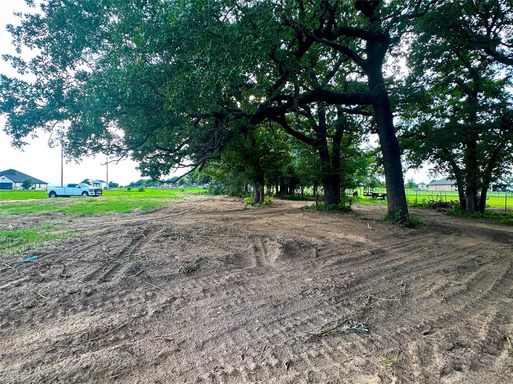 1160 Doss Road Millsap, TX 76066 - Photo 22 of 24 a view of outdoor space with trees