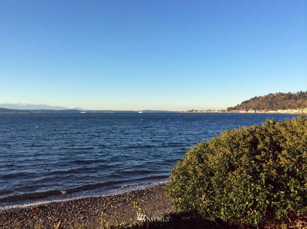 6029 Beach Drive Southwest Seattle, WA 98136 - Photo 3 of 11