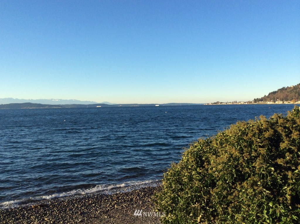 6029 Beach Drive Southwest Seattle, WA 98136 - Photo 5 of 11