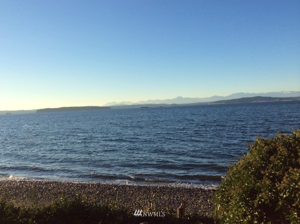 6029 Beach Drive Southwest Seattle, WA 98136 - Photo 6 of 11