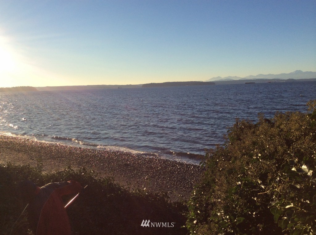 6029 Beach Drive Southwest Seattle, WA 98136 - Photo 7 of 11