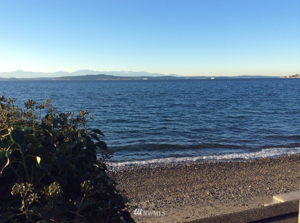6029 Beach Drive Southwest Seattle, WA 98136 - Photo 8 of 11