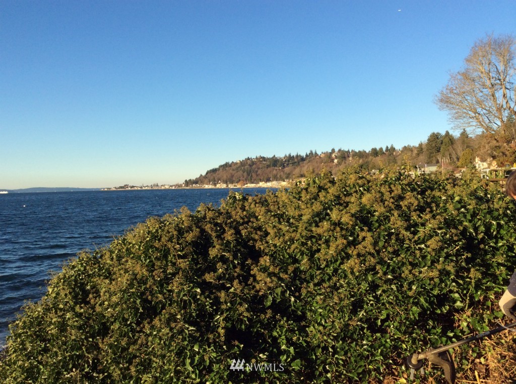 6029 Beach Drive Southwest Seattle, WA 98136 - Photo 10 of 11