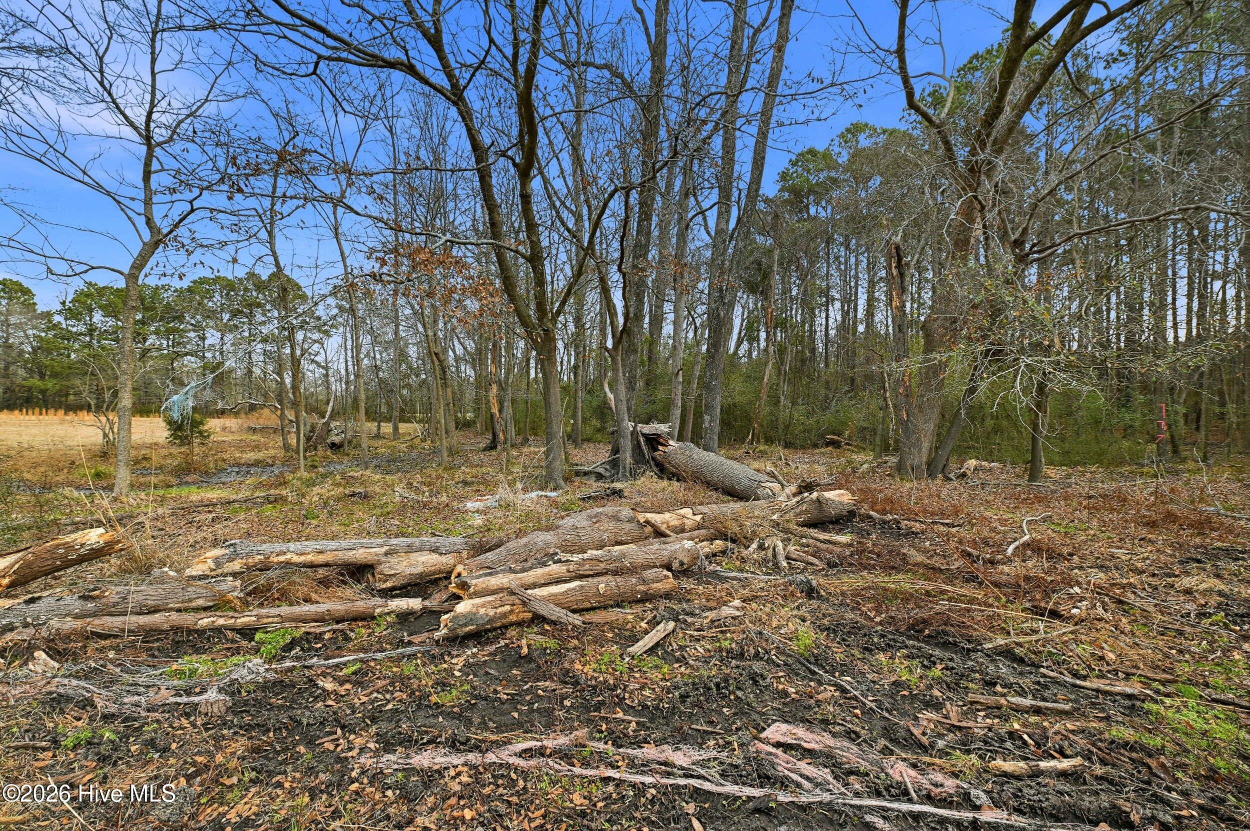 3566 Red Store Road Whiteville, NC 28472 - Photo 8 of 13 7_3566 red store rd-0007