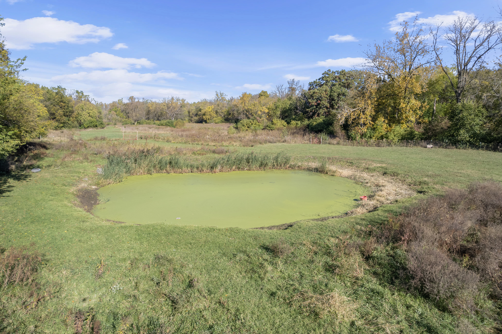 11071 Crimmin Road Newark, IL 60541 - Photo 50 of 60