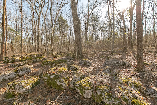 9506 McKee Road Lascassas, TN 37085 - Photo 35 of 45 Gallery Image 35