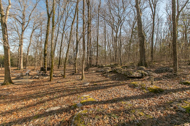 9506 McKee Road Lascassas, TN 37085 - Photo 44 of 45 Gallery Image 44