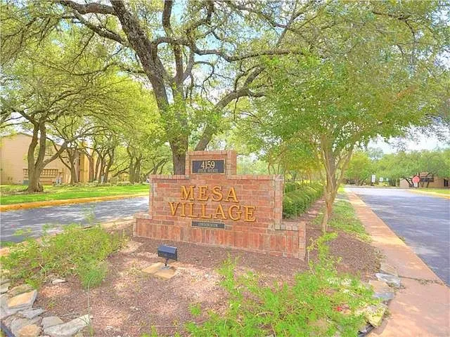 a view of a yard with plants and large trees
