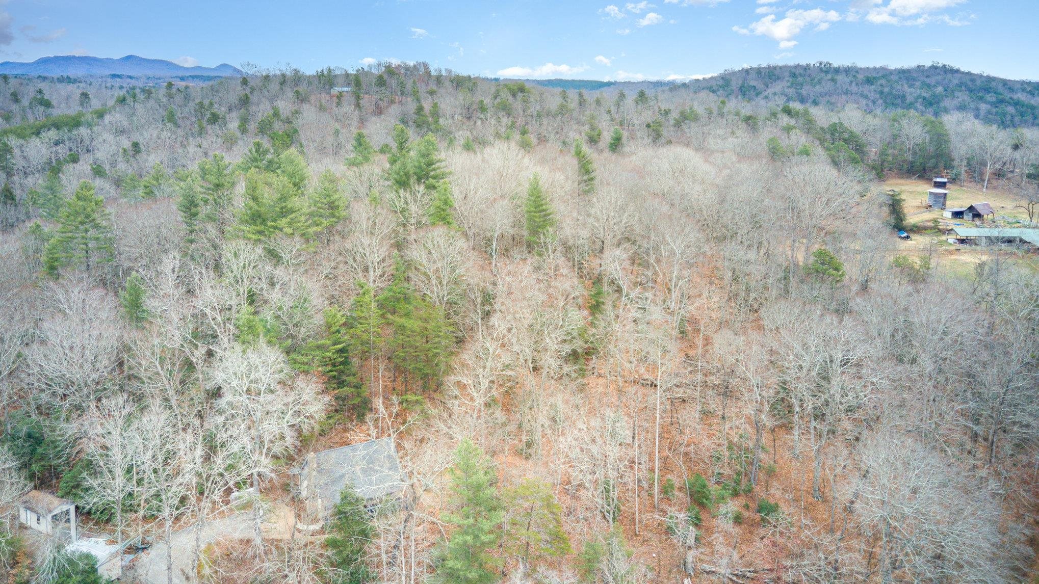 5460 Highway 64 Rutherfordton, NC 28139 - Photo 31 of 38