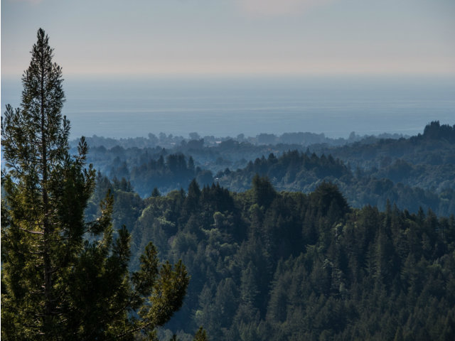 14100 Long Ridge Road Los Gatos, CA 95033 - Photo 3 of 25 Gallery Image 3