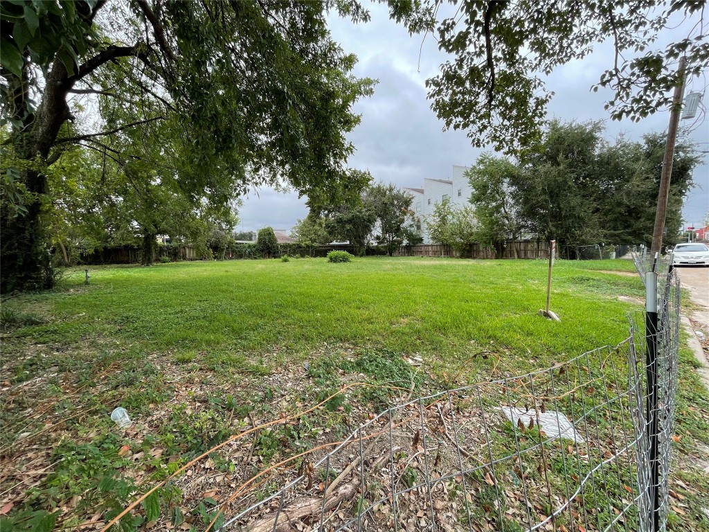 2106 Tuam Street Houston, TX 77004 - Photo 6 of 8 a view of a field with a tree