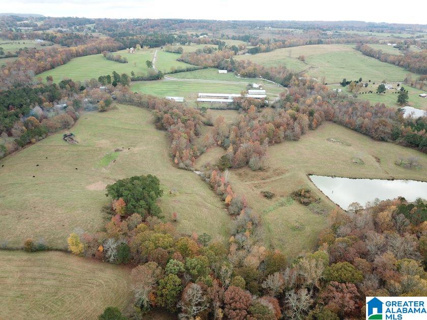 1241 Reneau Road Oneonta, AL 35121 - Photo 12 of 50