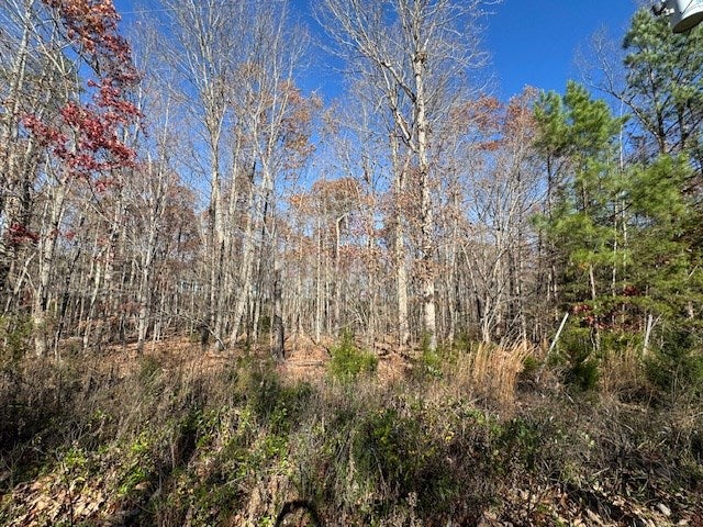Chestnut Grove Road Appomattox, VA 24522 - Photo 5 of 8 Gallery Image 5