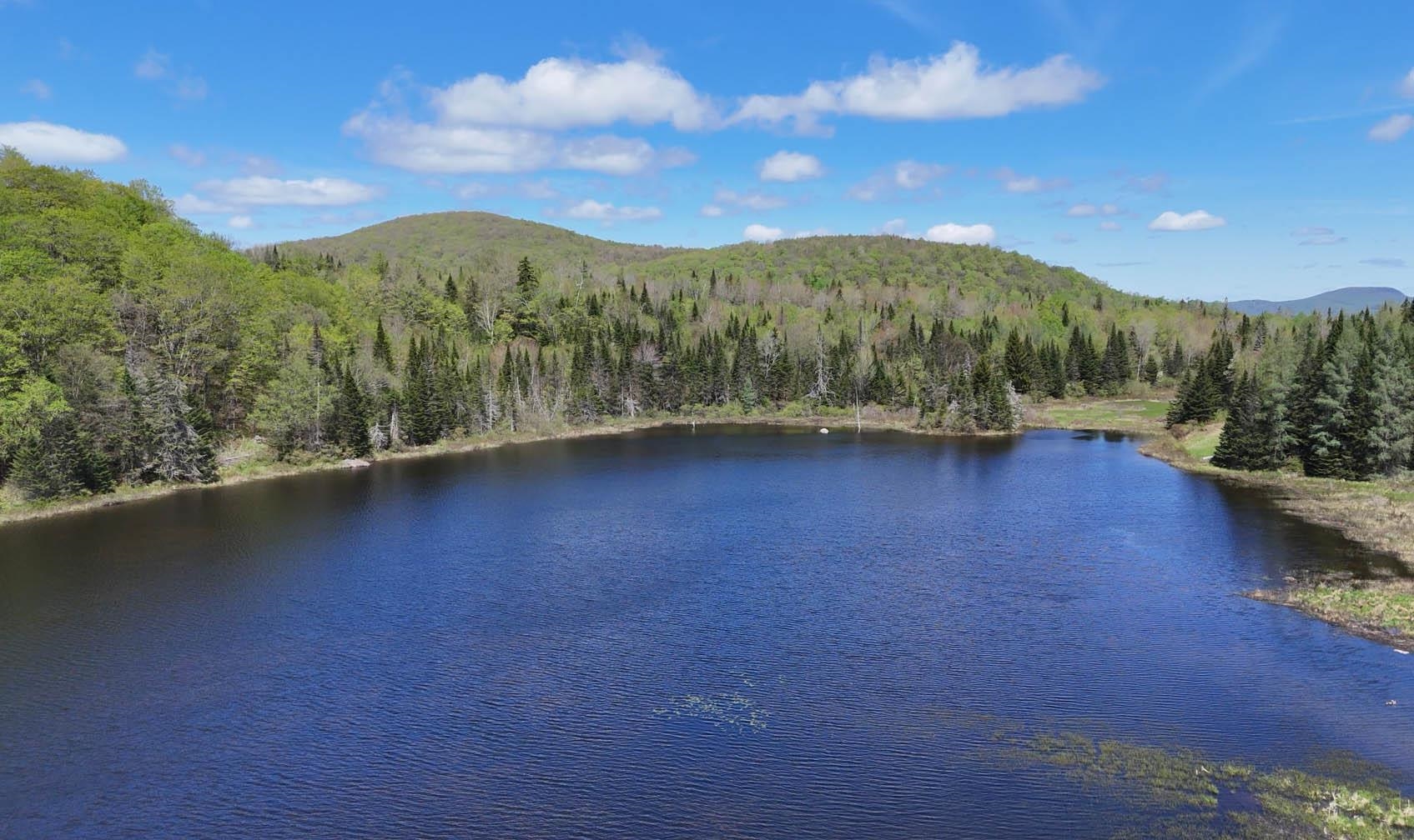 2900 Old Duck Pond Road Sheffield, VT 05866 - Photo 12 of 12