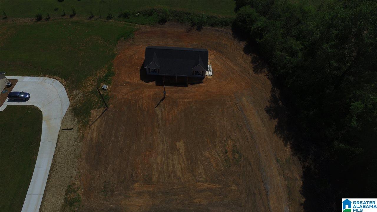 183 Fowler Springs Road Blountsville, AL 35031 - Photo 3 of 7