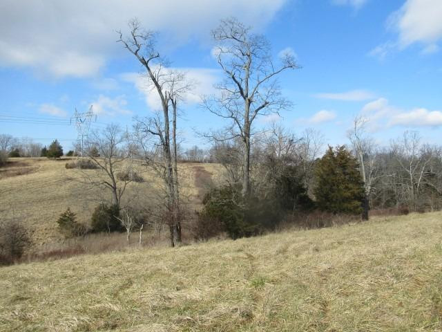 1939 Switzer Road Stamping Ground, KY 40379 - Photo 9 of 26 Photo 9