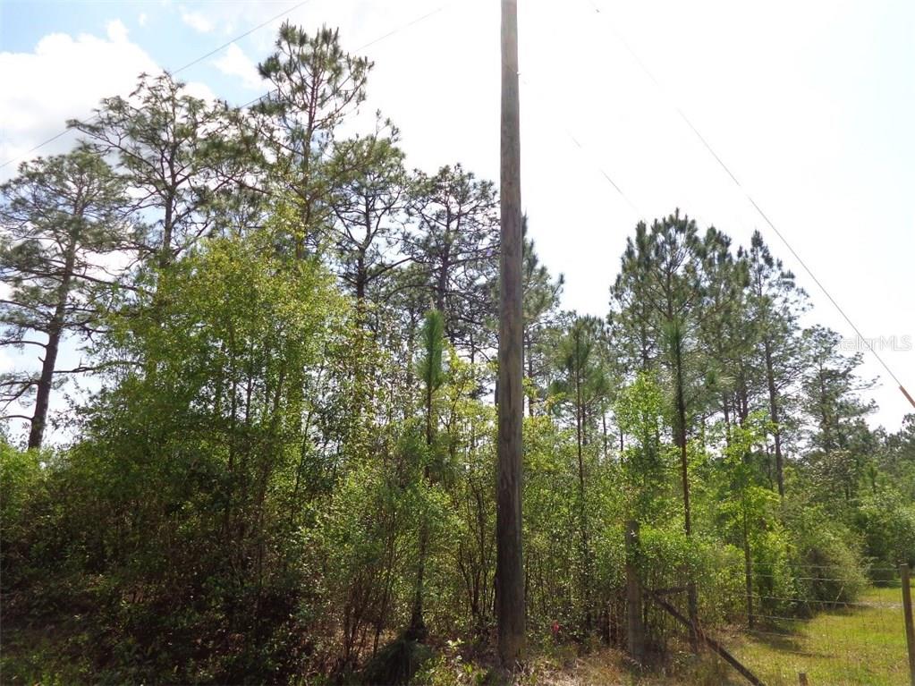 Ross Road Fountain, FL 32438 - Photo 1 of 1 Gallery Image 1