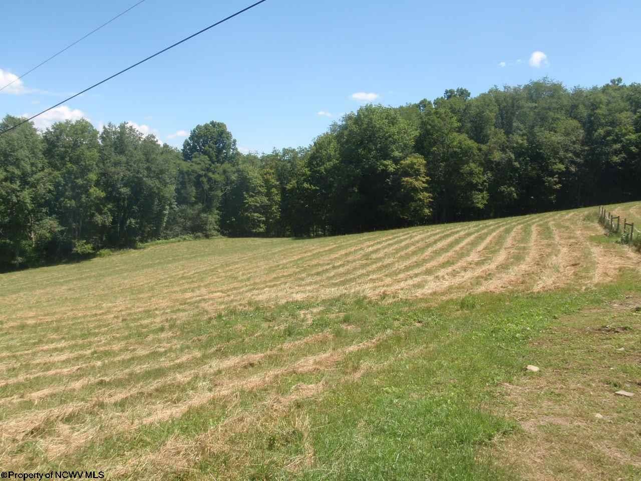 5160 Saltlick Road Terra Alta, WV 26764 - Photo 15 of 20 Gallery Image 15