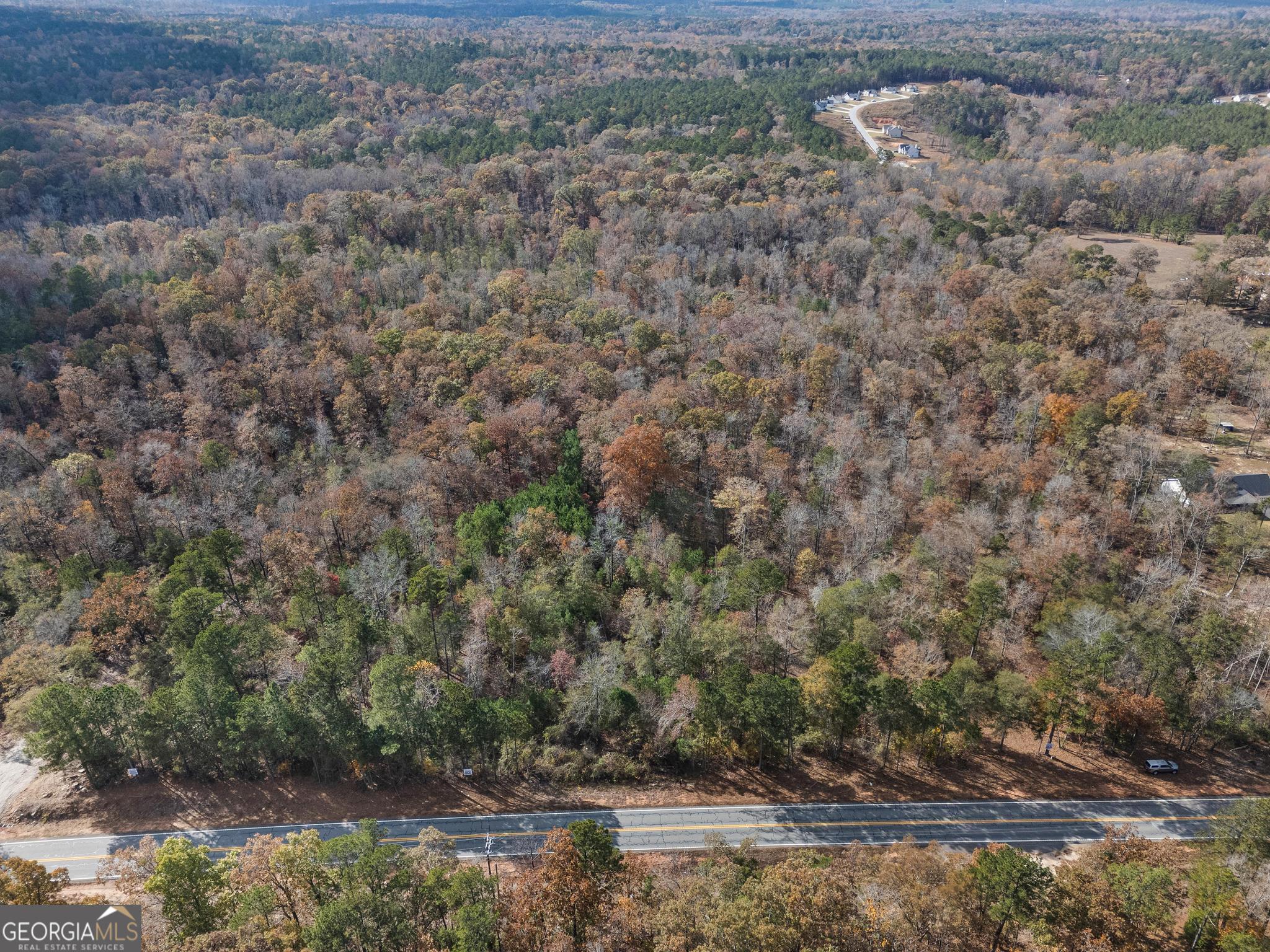 0 Highway 212 Covington, GA 30014 - Photo 3 of 9 a view of a dry yard with trees
