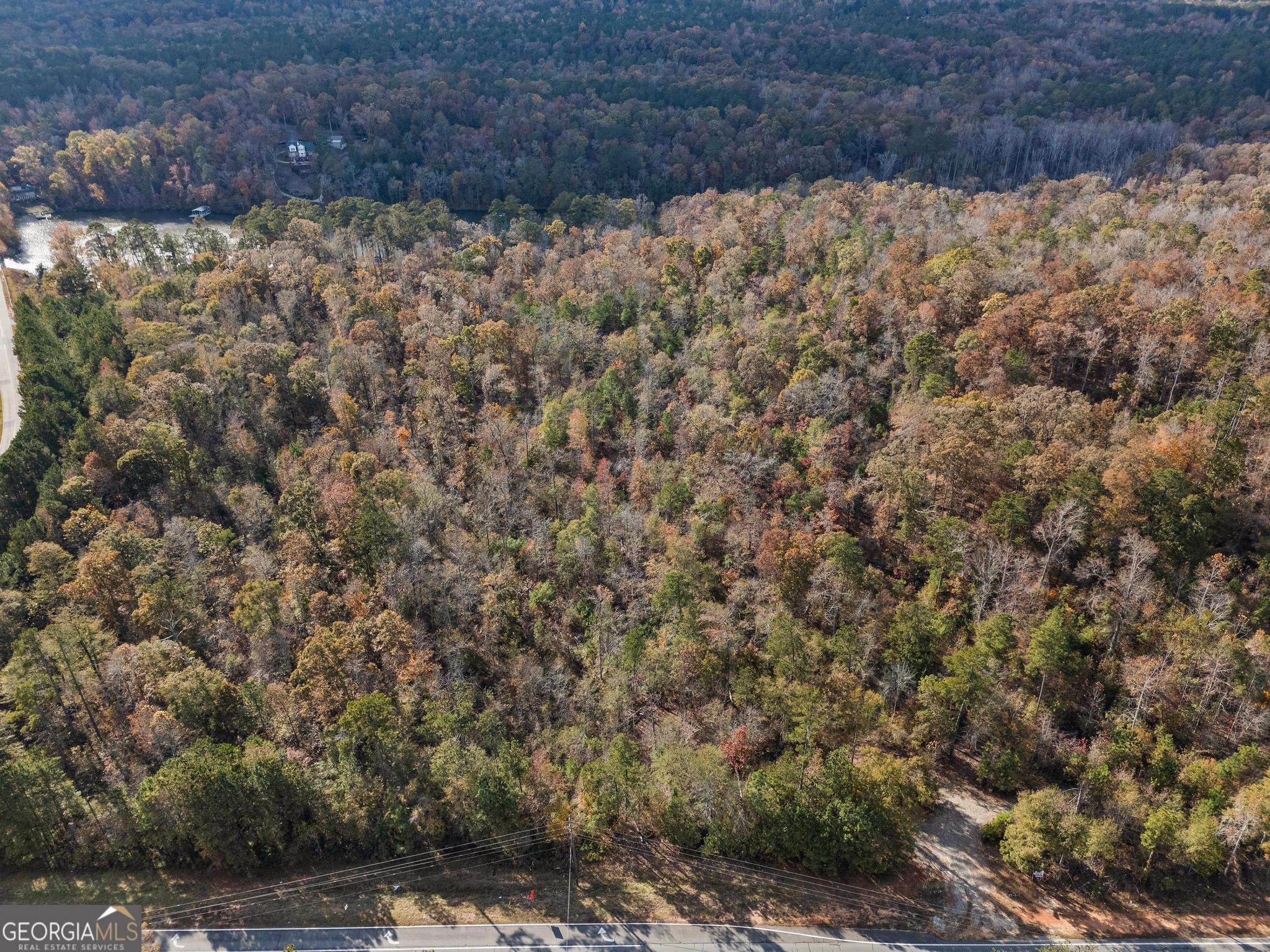0 Highway 212 Covington, GA 30014 - Photo 8 of 9 a view of a yard