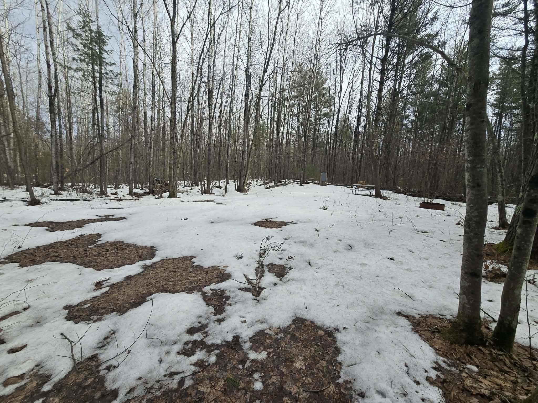 Rabbit Trail Road, Unit 5 Wausaukee, WI 54177 - Photo 3 of 9