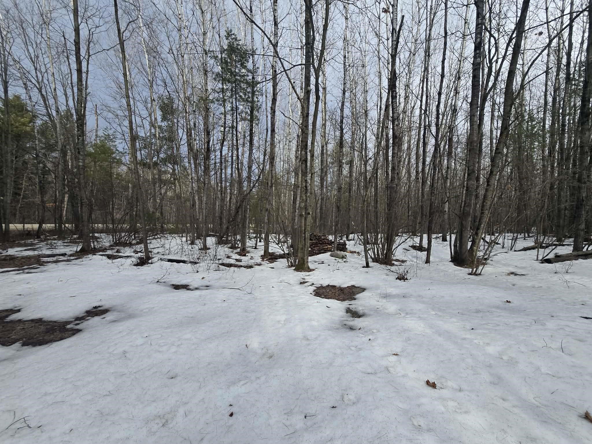 Rabbit Trail Road, Unit 5 Wausaukee, WI 54177 - Photo 4 of 9