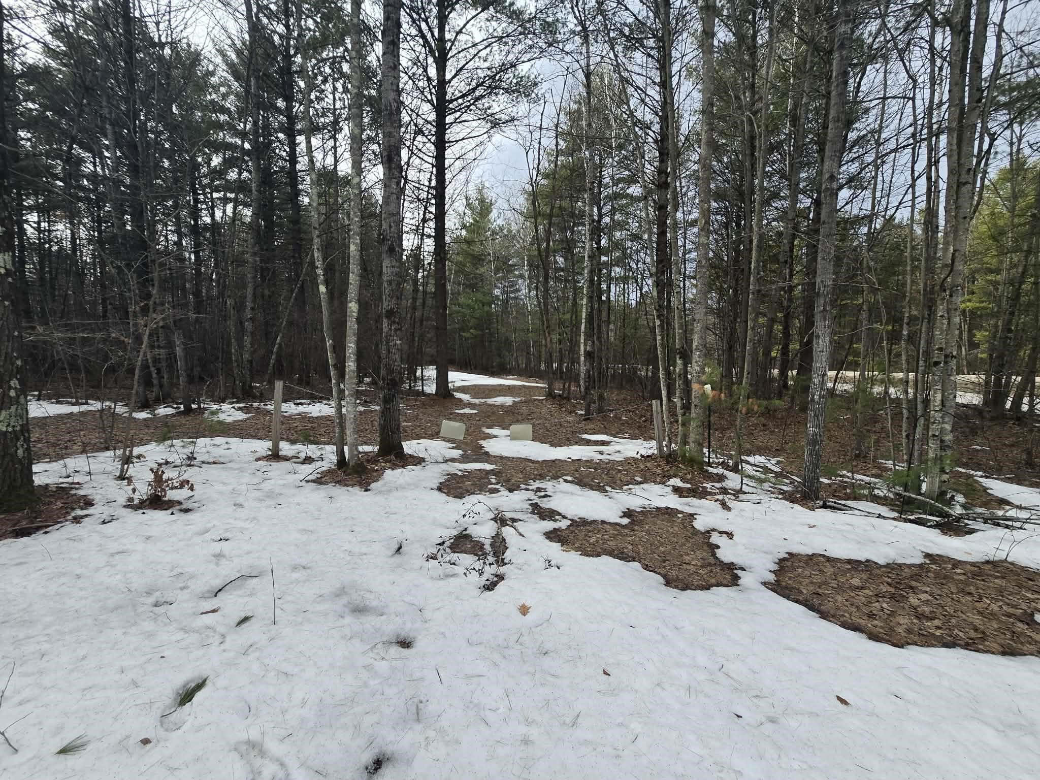 Rabbit Trail Road, Unit 5 Wausaukee, WI 54177 - Photo 5 of 9