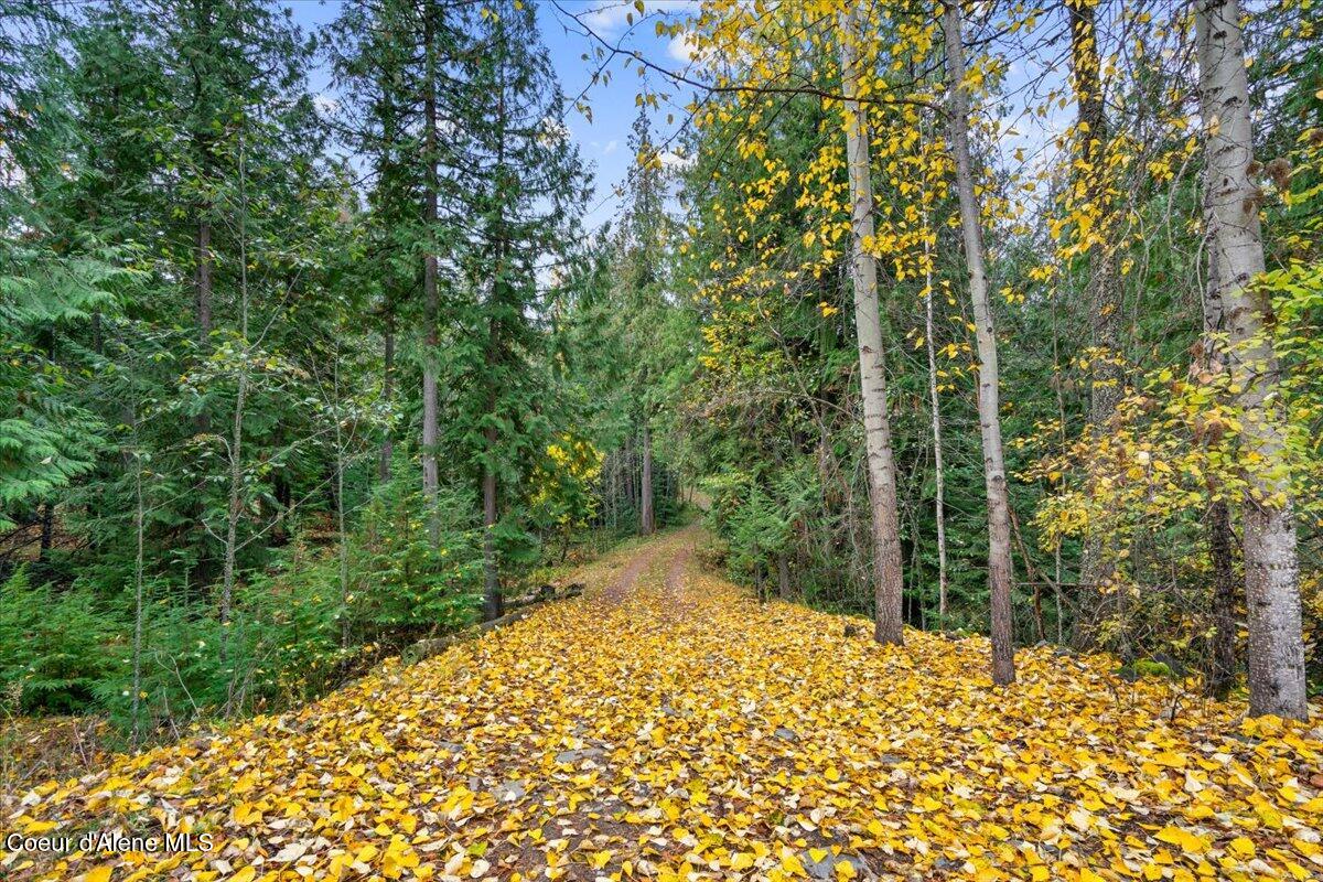 9864 Bottle Bay Road Sagle, ID 83860 - Photo 30 of 35 30-Back yard